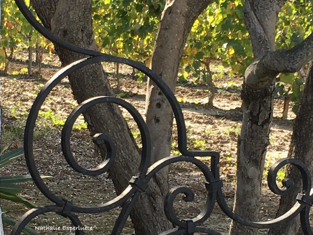 Elle cherchait l’ombre