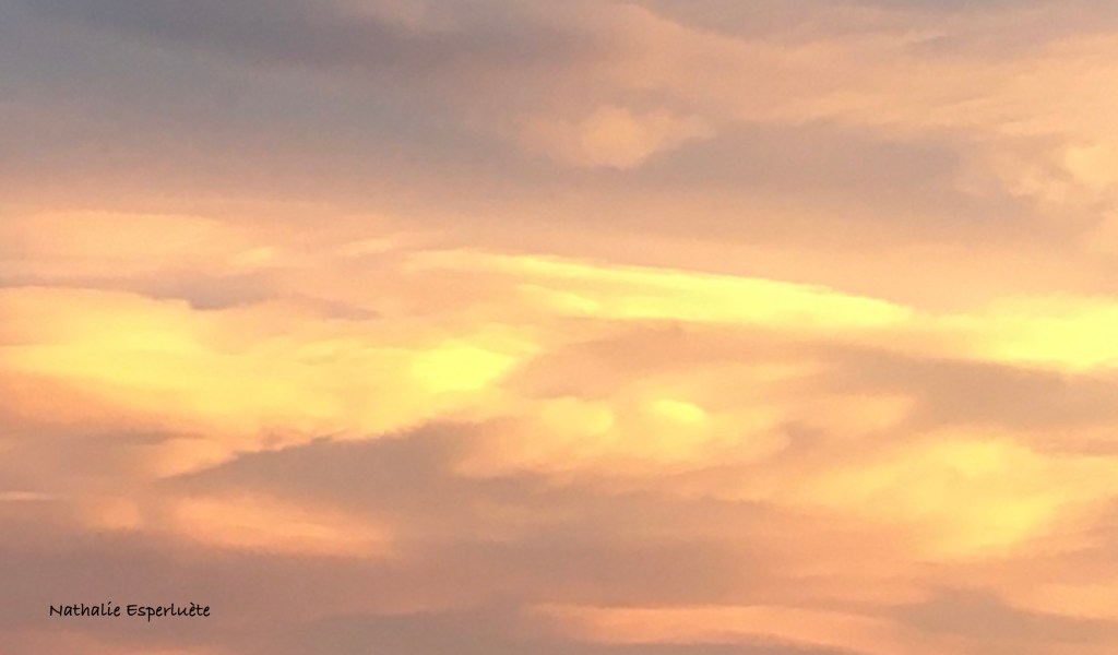 Les petits palets dorés