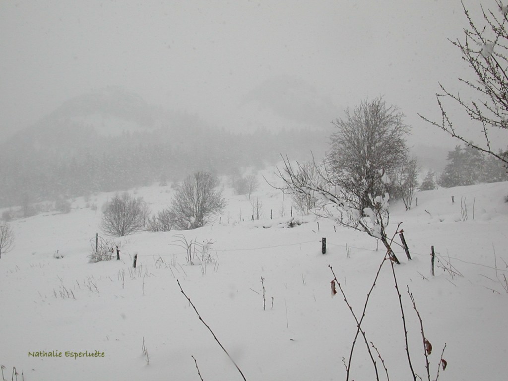 Comme si chacun de mes&nbsp;pas