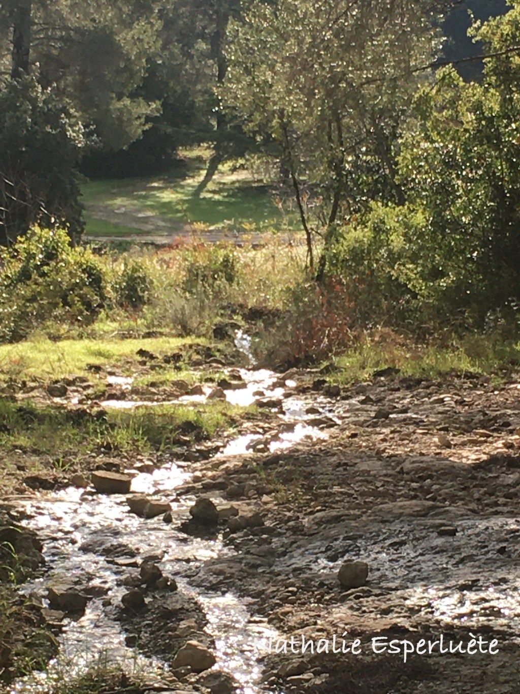 Galets plats, ricochets