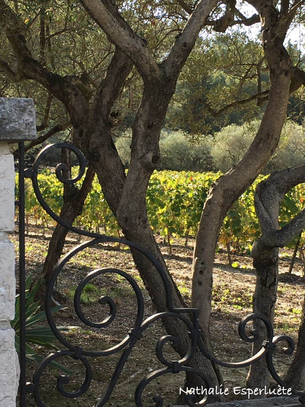 La chaîne & la&nbsp;trame