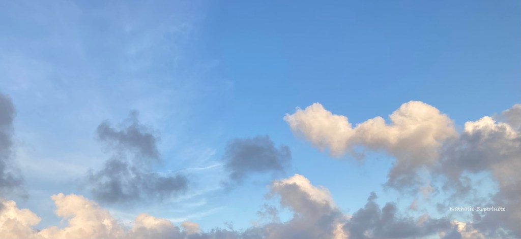 …et la fraternité