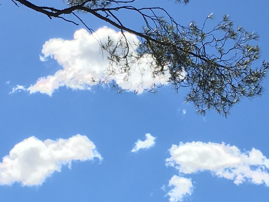 Les lieux qu’on porte en&nbsp;soi