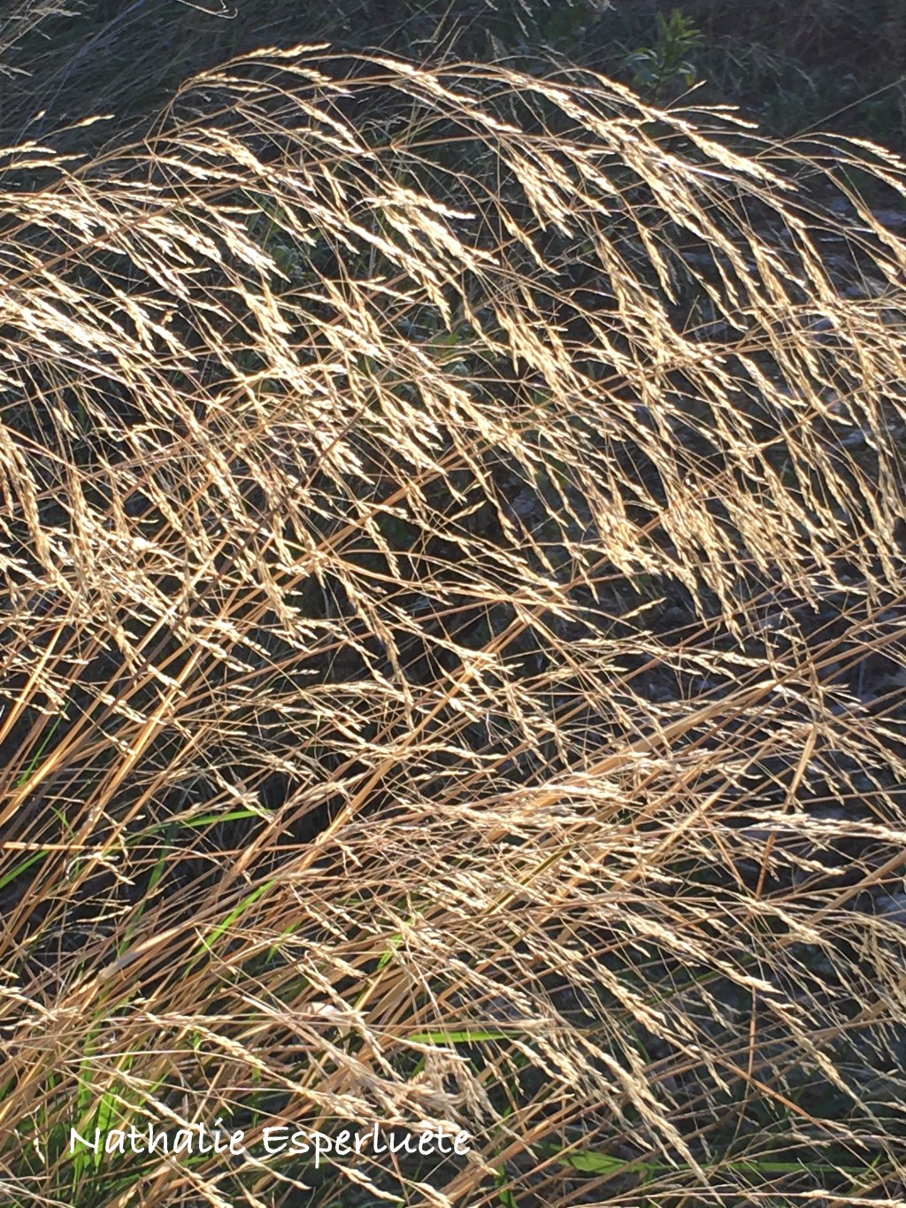 Un chemin le cœur&nbsp;léger