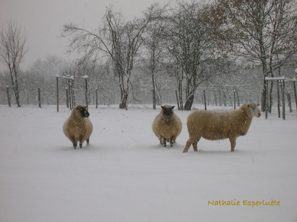 Il y a toujours à&nbsp;faire…