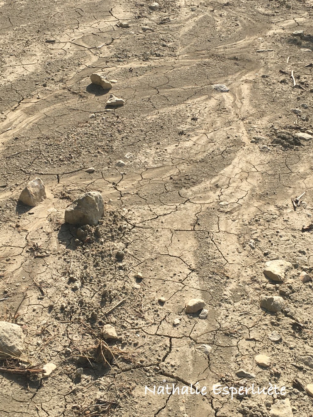 Nos pages d’écriture