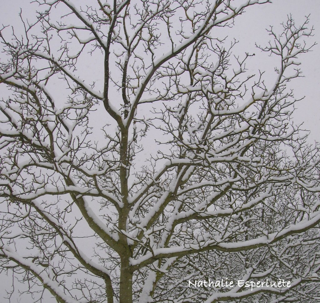 La forme du&nbsp;temps